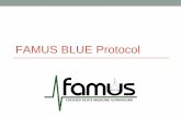 FAMUS BLUE Protocolfamus.org.uk/wp-content/uploads/2017/07/FAMUS-BLUE-protocol.pdf · The BLUE protocol. Step 1 • Examine the Upper and Lower BLUE points. • Look for anterior