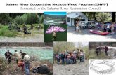 Salmon River Cooperative Noxious Weed Program (CNWP ... · 751 sq mi Salmon River Subbasin. A W I L D L A N D S E C O S Y S T E M Salmon/Klamath Confluence ... The land base in the