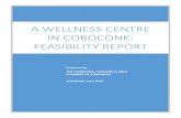 a Wellness centre in Coboconk: feasibility reportcoboconknorland.ca/sites/default/files/Coboconk Wellness...A WELLNESS CENTRE IN COBOCONK: FEASIBILITY REPORT Prepared by: THE COBOCONK,