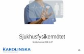 Itembu Lannes 2016-11-07sjukhusfysiker.se/sites/default/files/NationelltM...insight economy 2020+ analytics as a disruptor 2014—2018+ internet of things analytics as silo 1995—2009