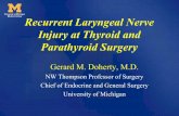 Recurrent Laryngeal Nerve Injury at Thyroid and ... 2006/thyroid/Doherty.pdf · Prevention of Nerve Injury General Principles • Deliberate consideration and documentation of the