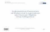 Substantive Elements of Potential Legislation on Human Rights · Substantive Elements of Potential Legislation on Human Rights Due Diligence Policy Department for External Relations