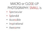 MACRO or CLOSE-UP PHOTOGRAPHY. SMALL is MACRO â€¢Technically, macro photography means shooting at a
