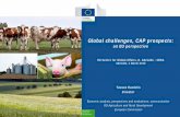 Global challenges, CAP prospects ... Global challenges, CAP prospects: an EU perspective EU Centre for