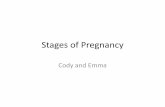 Stages of Pregnancy · Stages of Pregnancy Cody and Emma. Week 1 •The woman feels strange. •She has cramping. •She doesn’t know she is pregnant yet. Week 2 •She is still