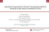 Electrical Capacitance Volume Tomography (ECVT) imaging of ... NETL multip… · Chemical Engineering Communications, 41(1-6), 215-235. u l1 and u l2: linear liquid velocity in liquid