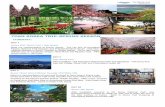 7D6N KOREA TRIP SPRING SEASONmirmastravel.com/wp-content/uploads/2018/11/6D5N-jeju-nami.pdf · 11/6/2018  · Jeju Island Tour After breakfast, visit Seongsan Ilchulbong Peak and