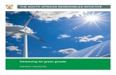 THE SOUTH AFRICAN RENEWABLES INITIATIVE · The current plan (IRP 2010) includes almost 19 Gigawatts (GW) of renewable energy capacity made up largely of Wind, Solar Photovoltaic (PV)