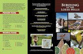 SOME OF THE MOST BEAUTIFUL BIRDS in North …SOME OF THE MOST BEAUTIFUL BIRDS in North America can be found in Iowa’s Loess Hills. The Loess Hills provides a north-south conduit