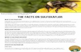 The Facts on Sulfoxaflor · pesticides that are a leading cause of the large scale pollinator decline of the last decade,2 despite the manufacturer’s attempt to claim it is distinct.3