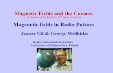 Magenetic fields in Radio Pulsars · Magenetic fields in Radio Pulsars In honour of Jan Kuijpers' 65th Solar revolution . Sparks heating Polar Cap Spark associated subpulse radio