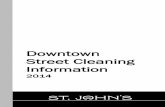 Downtown Street Cleaning Information - St. John's Cleaning... · Street cleaning removes dirt and debris from city streets to provide an aesthetically pleasing and healthy environment