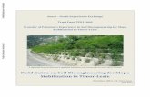 Soil Bioengineering for Slope in Timor Leste · conditions appropriate for soil bioengineering applications in Timor‐Leste. This information was used for ... geo‐textiles and