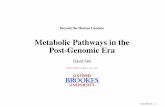 Metabolic Pathways in the Post-Genomic Erahein/BeyondHumanGenome/fell.pdf · Summary Oxford BHGŒ04 Œ p. 3. Formal representation of metabolic ... Pentose phosphate reactions Gene