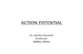 ACTION POTENTIAL - WordPress.com · 2019-02-11 · Action Potential Definition: An Action Potential is a self-propagating wave of electro-positivity that passes along the inner surface