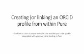 Creating an ORCID profile from within Pure · Research output Activities Press clippings Student theses Curricula Vitae Applications Awards Projects Impacts Connect with your ORCID