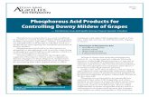 Phosphorous Acid Products for Controlling Downy Mildew of ...€¦ · Rotating these products early in the season or tank mixing them with protectant fungicides can provide additional