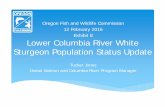 Oregon Fish and Wildlife Commission 12 February …...Lower Columbia River White Sturgeon Population Status Update Oregon Fish and Wildlife Commission 12 February 2016 Exhibit E Tucker