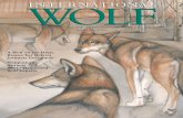 A Wolf on the Hunt: Researcher Relates Intimate Encounter ... · A number of accomplishments have carried us toward our goals, including our symposia, publications, educational programs,