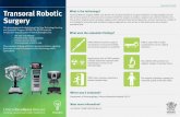 Queensland Health Transoral Robotic What is the technology ... · Transoral Robotic Surgery (TORS) uses the da Vinci Surgical System for surgical treatment of oropharyngeal cancers.
