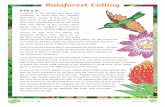 Rainforest Calling · 1. What does Daisy suggest the rainforest should be called? the ‘plant forest’ 2. According to the text, what portion of the world’s plant species live