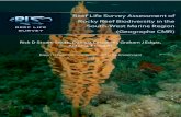 Reef Life Survey Assessment of Rocky Reef Biodiversity in ... · include foraging areas for seabirds, migratory habitat for humpack whales and blue whales (Recalde-Salas et al. 2014),