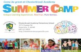 Come be great at Chesterbrook Academy€¦ · Hungry Hippos, Trouble, Mouse Trap, Battleship, Clue, Operation, Candyland, Sorry!, Monopoly and Twister. Field Trips: Featured field