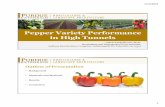 Pepper Variety Performance in High Tunnels Variety... · • The top bell pepper states in the U.S. are California ... and Michigan. • Peppers are grown across the U.S., but California
