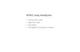 ATAC-seq Analysis - GenCore...Oct 15, 2015  · ATAC-seq Analysis Process the reads Align the reads Call peaks Investigate the location of peaks