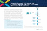 CHROMIUM SYSTEM | SINGLE CELL ATAC | APPLICATION ... · ATAC-seq has been widely used to profile chromatin access- ibility across a broad range of tissue and cell types in bulk. While
