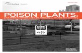 POISON PLANTS - Oceana · POISON PLANTS: [ CHLORINE FACTORIES ARE A MAJOR GLOBAL SOURCE OF MERCURY ] Acknowledgements The authors wish to thank many individuals for their help on
