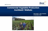 Commercial Vegetable Production Auckland / Waikato · 2016-10-28 · Broccoli $43,000.00 Cabbage $24,000.00 Squash $11,000.00 Pumpkin $18,000.00 Potato $18,000.00 Dairy @ 1000kgms/ha