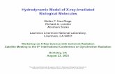 Hydrodynamic Model of X-ray-Irradiated Biological Moleculesstaff.chess.cornell.edu/~shen/workshop2003/presentations/... · 2003-09-16 · Hydrodynamic Model of X-ray-Irradiated Biological