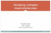 Studying complex macromoleculeshebergement.u-psud.fr/fabien-cailliez/Downloads/... · Pair potentials for intermolecular forces Mathematical expression of the potential energy for