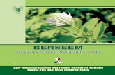 BERSEEM...Berseem, known as king of fodder crops, is popular among livestock farmers of the world. It belongs to the clover group and internationally famous as Egyptian Clover. Botanically