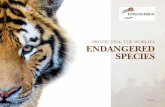 PROTECTING THE WORLD’S ENDANGERED SPECIESkimberlywebber.com/wp-content/uploads/2019/09/Endangered-One-S… · Panthera’s Tigers Forever program is working at key sites across