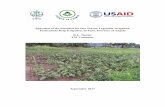 Appraisal of the Potential for Dry Season Vegetable ...A proposed training program on drip irrigation was fortunately shifted to appraisal for dry season irrigation of vegetable in