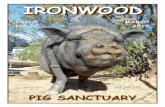 Ironwood Pig Sanctuary Home Page - March 2014 Newsletter · breeders are inbreeding even more trying to produce a “teacup pig”, the result of which will be even more congenital