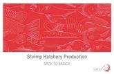 Shrimp Hatchery Production - AquaExpo Santa Elenaaquaexposantaelena.cna-ecuador.com/wp-content/uploads/... · 2017-12-07 · Top 5 shrimp production countries in the world Shrimp