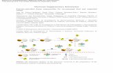 Electronic Supplementary Information release Enzyme ... · Electronic Supplementary Information Enzyme-controlled Janus nanomachine for on-command dual and sequential release Ana