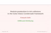 Particle production in AA collisions in the Color Glass ... · frozen color sources ρa. Hence : Jµ a = δ µ+δ(x−)ρ a(~x⊥) (x −≡ (t− z)/ √ 2) The color sources ρa