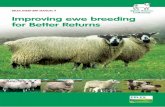 EBLEX SHEEP BRP MANUAL 9 Improving ewe breeding for Better ... · EBLEX Better Returns Programme is grateful to all those who have commented and contributed to this production. Illustrations: