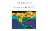 The Biosphere Chapters 58,56,57€¦ · –Monarch butterfly caterpillars feed on milkweed and dogbane families –Monarchs incorporate cardiac glycosides from the plants for protection