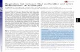 Regulatory link between DNA methylation and active ... · Regulatory link between DNA methylation and active demethylation in Arabidopsis Mingguang Leia, Huiming Zhanga,b, Russell