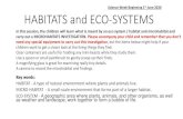 st HABITATS and ECO-SYSTEMS · water rushes trees flowering plants pond weed ladybirds bees butterflies frogs mice rabbits fish birds of prey small birds foxes ... Under a log On