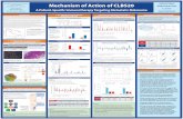 Society for Melanoma Research Mechanism of Action of CLBS20€¦ · Mechanism of Action of CLBS20 A Patient-Specific Immunotherapy Targeting Metastatic Melanoma Gabriel Nistor Aleksandra