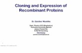 Cloning and Expression of Recombinant Proteinsbio.ph.tum.de/fileadmin/user_upload/Vorlesungs... · Cloning and Expression of Recombinant Proteins 1 Created May 31, 2013, modified