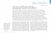 Insulin–PI3K signalling: an evolutionarily insulated ... · (PI3K) signalling cascade and highlights the latest stud-ies examining new approaches to circumvent systemic insulin