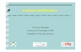 Linfoma linfoblastico - Siematologia · Linfoma linfoblastico Vincenzo Cassibba Divisione di Ematologia e TMO Ospedale S. Maurizio, Bolzano. BACKGROUND Lymphoblastic lymphoma (LBL)