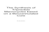 The Synthesis of Tripnictide Macrocycles based on a ... · The Synthesis of Tripnictide Macrocycles based on a Benzannulated Core By Julia Johnstone